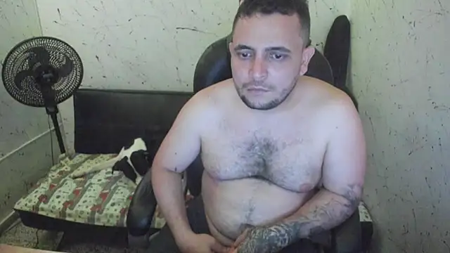  ace ventura online show from December 17, 2025, 4:51 am