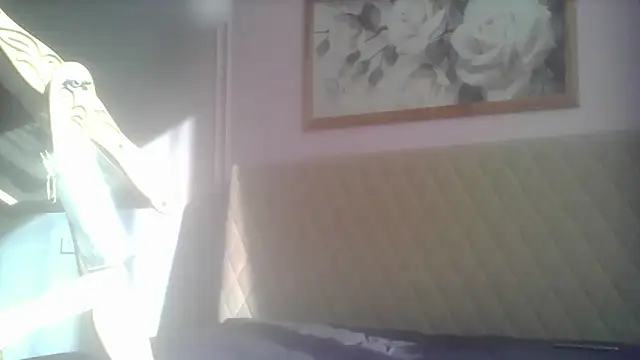 SunElizabeth online show from June 12, 2026, 2:43 am