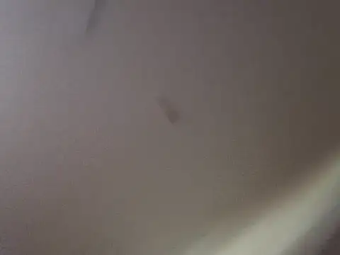 Snapshot of Gin4Cole chatting on September 25, 2025, 11:52 pm Gin4Cole online show from September 25, 2025, 11:52 pm