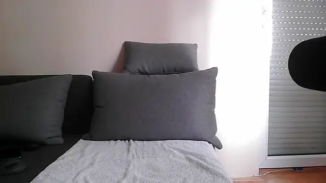 DickStaza online show from November 17, 2025, 12:44 pm