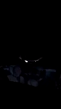 AriellaTaylor online show from December 14, 2025, 12:32 pm