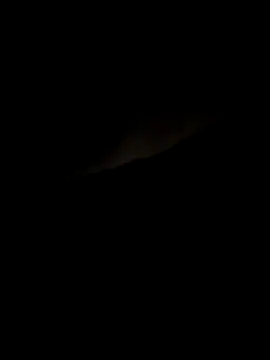 meuall3 online show from October 14, 2025, 10:27 am