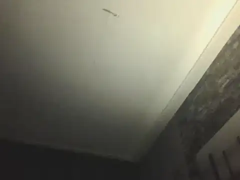 Snapshot of Prehistorixxx2686 chatting on January 12, 2025, 6:28 am Prehistorixxx2686 online show from January 12, 2025, 6:28 am