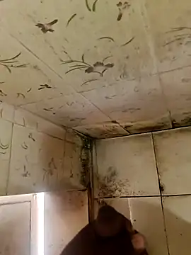 indiasexmf online show from October 11, 2025, 4:33 am