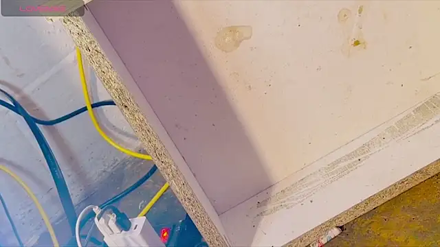 anotherbigboy  online show from April 28, 2026, 9:03 am