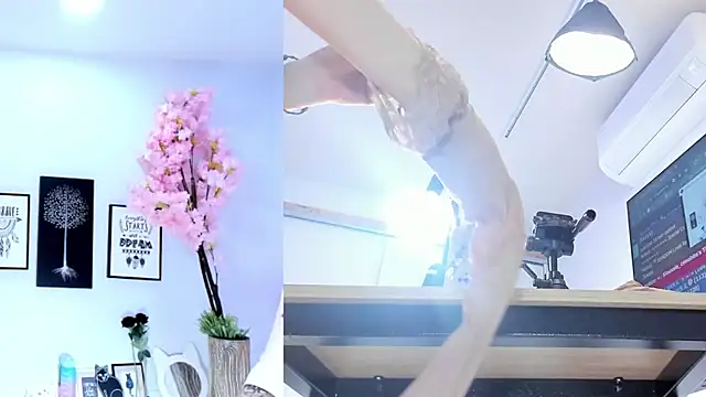 Siouxsie cenobite online show from October 28, 2025, 11:47 am