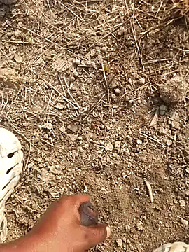 Ajith mvi online show from February 18, 2026, 3:35 am