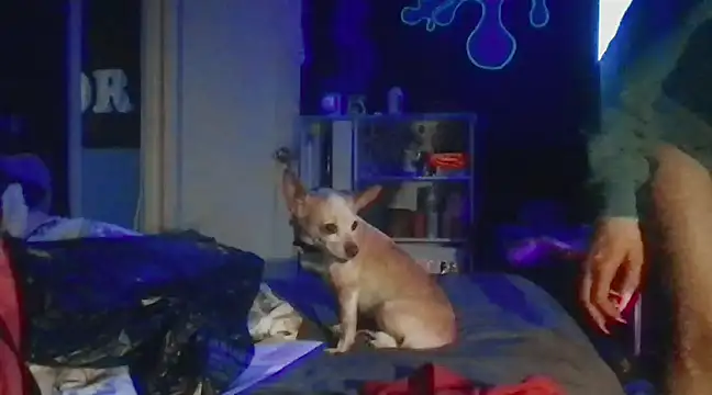 Snapshot of watermellonpussy chatting on December 28, 2024, 5:55 am watermellonpussy online show from December 28, 2024, 5:55 am