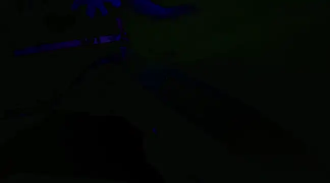 Snapshot of watermellonpussy chatting on January 29, 2025, 3:54 am watermellonpussy online show from January 29, 2025, 3:54 am