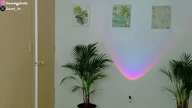 Liam Taylor online show from December 3, 2025, 10:19 pm