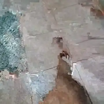 jockey2051992 online show from April 13, 2026, 2:50 am