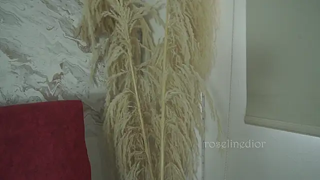 roselinedior online show from December 1, 2025, 1:38 pm