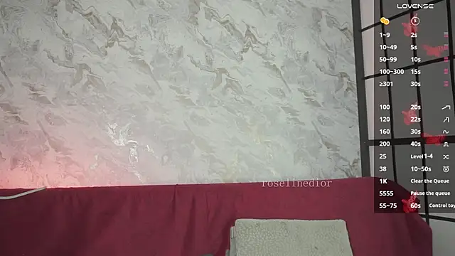 roselinedior online show from March 27, 2026, 3:12 pm