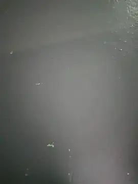 kamasutra20 online show from December 19, 2025, 1:01 am