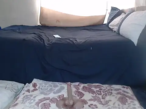 AdelaideT online show from February 26, 2026, 11:09 am