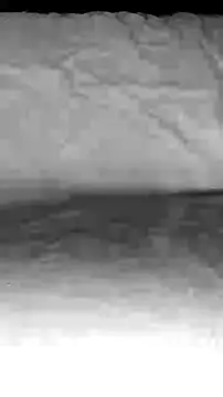 Snapshot of BigAssKi chatting on February 3, 2025, 3:06 pm BigAssKi online show from February 3, 2025, 3:06 pm