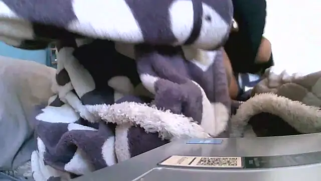 Bustypillows online show from May 7, 2026, 9:58 am