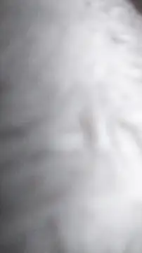 Ajhustler1xh online show from January 9, 2026, 11:46 am