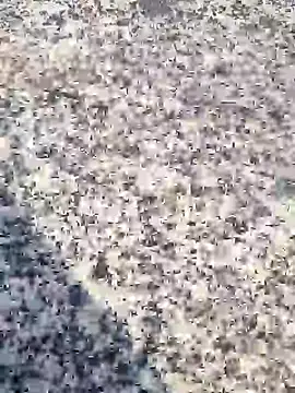 Beijing2000 online show from January 30, 2025, 12:39 am