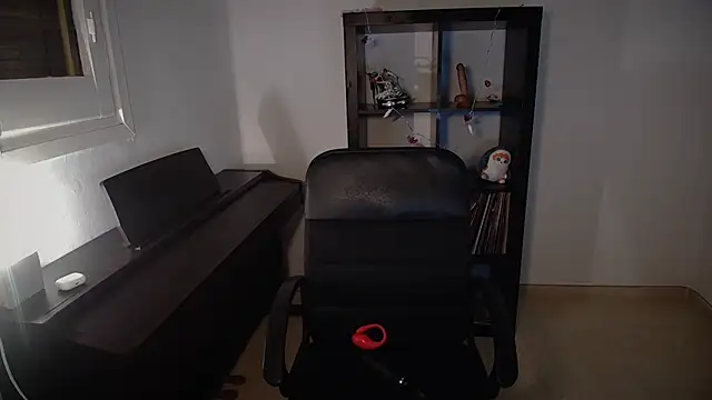 Windy butterfly online show from November 7, 2025, 5:35 pm