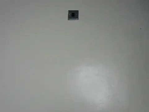 Rasta tattooed online show from December 19, 2025, 2:18 am