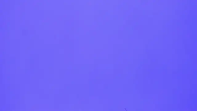 brenda sofia2 online show from November 21, 2025, 3:11 pm