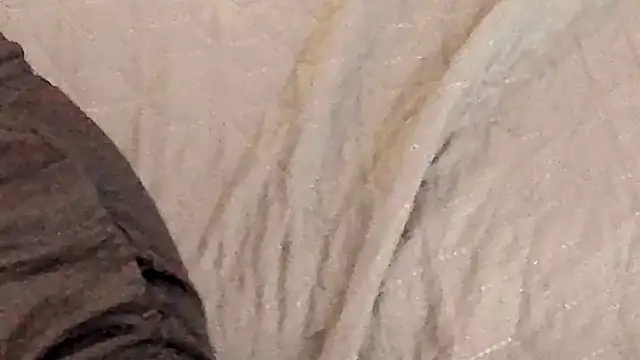 IceDanielles online show from October 11, 2025, 12:47 pm