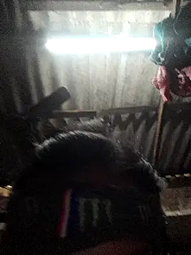 HotSexyBoudi online show from January 12, 2025, 8:57 am