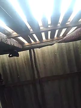 HotSexyBoudi online show from February 19, 2025, 9:28 am