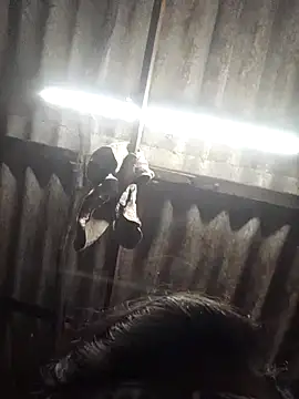 HotSexyBoudi online show from November 12, 2025, 8:48 am