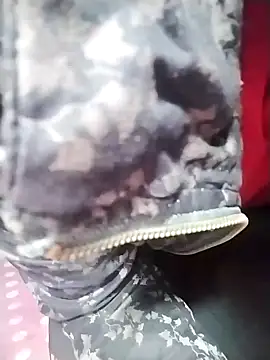 Snapshot of Dangky1 chatting on February 3, 2025, 4:25 am Dangky1 online show from February 3, 2025, 4:25 am