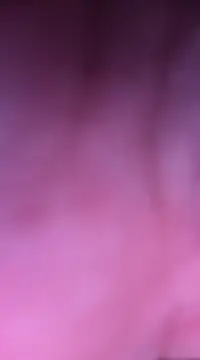 Women-pleasures online show from December 29, 2024, 1:17 pm