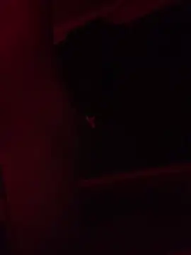 Snapshot of trash4cash chatting on February 9, 2025, 11:25 pm trash4cash online show from February 9, 2025, 11:25 pm