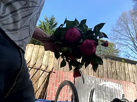 Snapshot of trash4cash chatting on March 7, 2025, 9:06 pm trash4cash online show from March 7, 2025, 9:06 pm