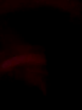 Snapshot of ySqmbVanbe chatting on December 14, 2025, 9:36 am ySqmbVanbe online show from December 14, 2025, 9:36 am