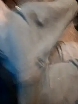 Snapshot of ySqmbVanbe chatting on December 17, 2025, 9:43 pm ySqmbVanbe online show from December 17, 2025, 9:43 pm