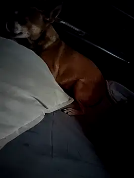 Snapshot of FloppyPickle4u chatting on February 28, 2025, 4:31 pm FloppyPickle4u online show from February 28, 2025, 4:31 pm