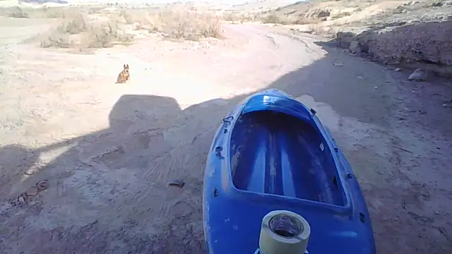 Snapshot of FloppyPickle4u chatting on December 20, 2025, 10:39 pm FloppyPickle4u online show from December 20, 2025, 10:39 pm