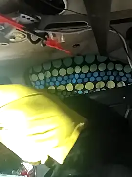 FloppyPickle4u online show from March 6, 2026, 3:36 am