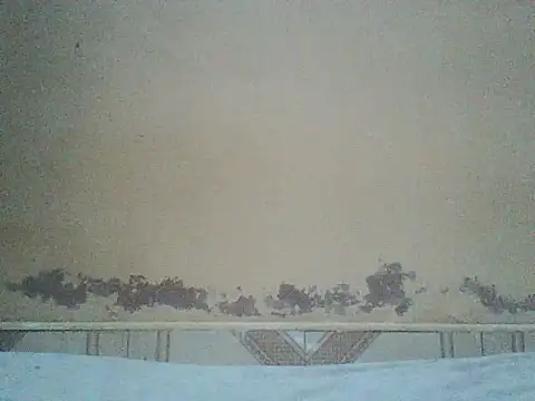 Snapshot of Naivegirrl chatting on June 29, 2026, 9:15 am Naivegirrl online show from June 29, 2026, 9:15 am