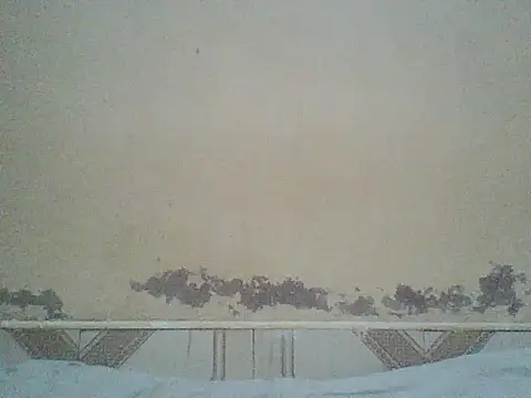 Snapshot of Naivegirrl chatting on July 3, 2026, 10:43 am Naivegirrl online show from July 3, 2026, 10:43 am