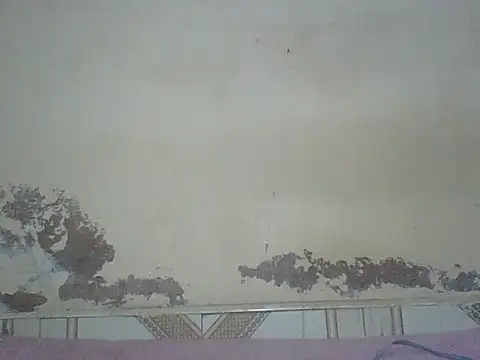 Snapshot of Naivegirrl chatting on August 1, 2026, 4:17 pm Naivegirrl online show from August 1, 2026, 4:17 pm