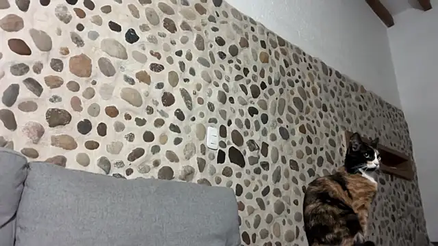 Snapshot of David_Brown18 chatting on October 1, 2025, 3:45 am David Brown18 online show from October 1, 2025, 3:45 am