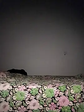 Snapshot of Sexygarl1024 chatting on October 8, 2025, 9:34 pm Sexygarl1024 online show from October 8, 2025, 9:34 pm