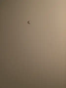 Snapshot of BIGWHITECOCKDOC36 chatting on March 5, 2025, 1:39 pm BIGWHITECOCKDOC36 online show from March 5, 2025, 1:39 pm