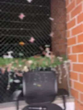 Snapshot of ValerieHilton chatting on January 12, 2025, 12:18 am ValerieHilton online show from January 12, 2025, 12:18 am