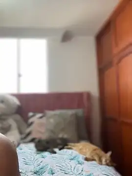 Snapshot of ValerieHilton chatting on March 12, 2025, 9:13 pm ValerieHilton online show from March 12, 2025, 9:13 pm