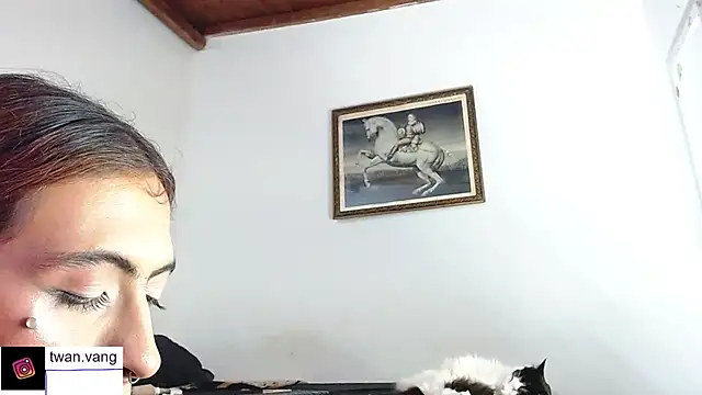 Trix fiore oficial online show from November 22, 2025, 3:05 am