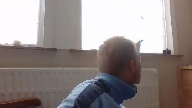 bertolini online show from October 12, 2025, 1:32 pm