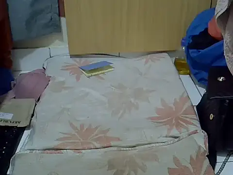 Snapshot of prettyviel chatting on October 27, 2025, 7:23 am prettyviel online show from October 27, 2025, 7:23 am